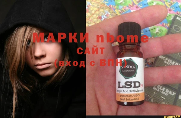 сатива Ельня