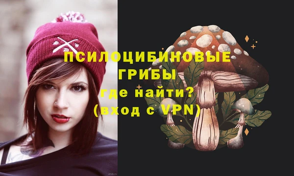 меф Белокуриха
