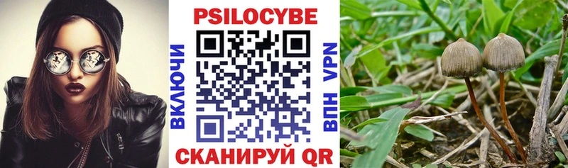 Псилоцибиновые грибы мицелий  Ефремов 